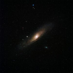 Appointed as the National Point of Contact for Bosnia and Herzegovina within the International COSMIC MOVEMENT